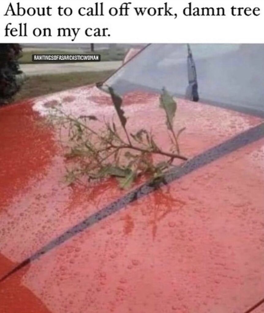 tree fell on my car call off work meme