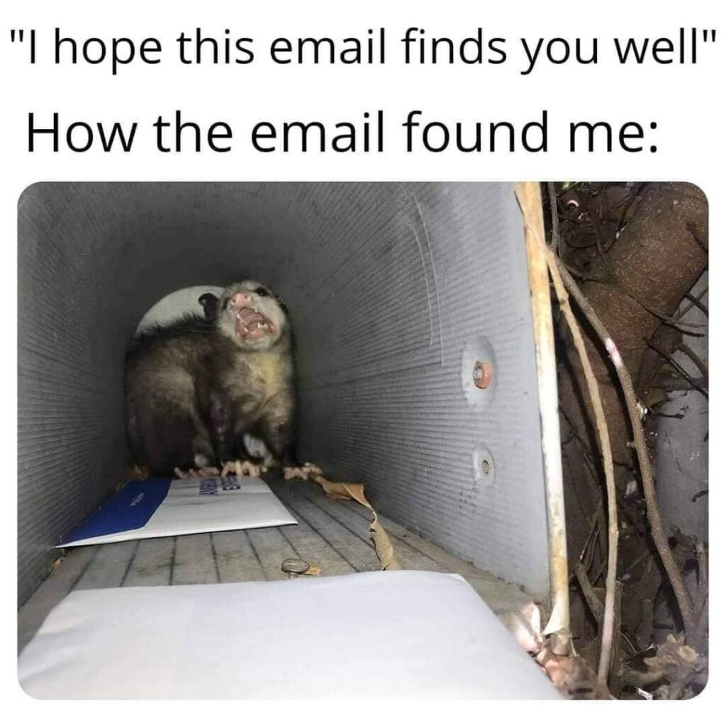 email meme