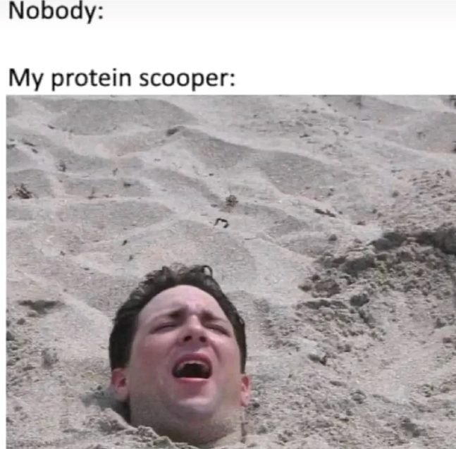 protein meme