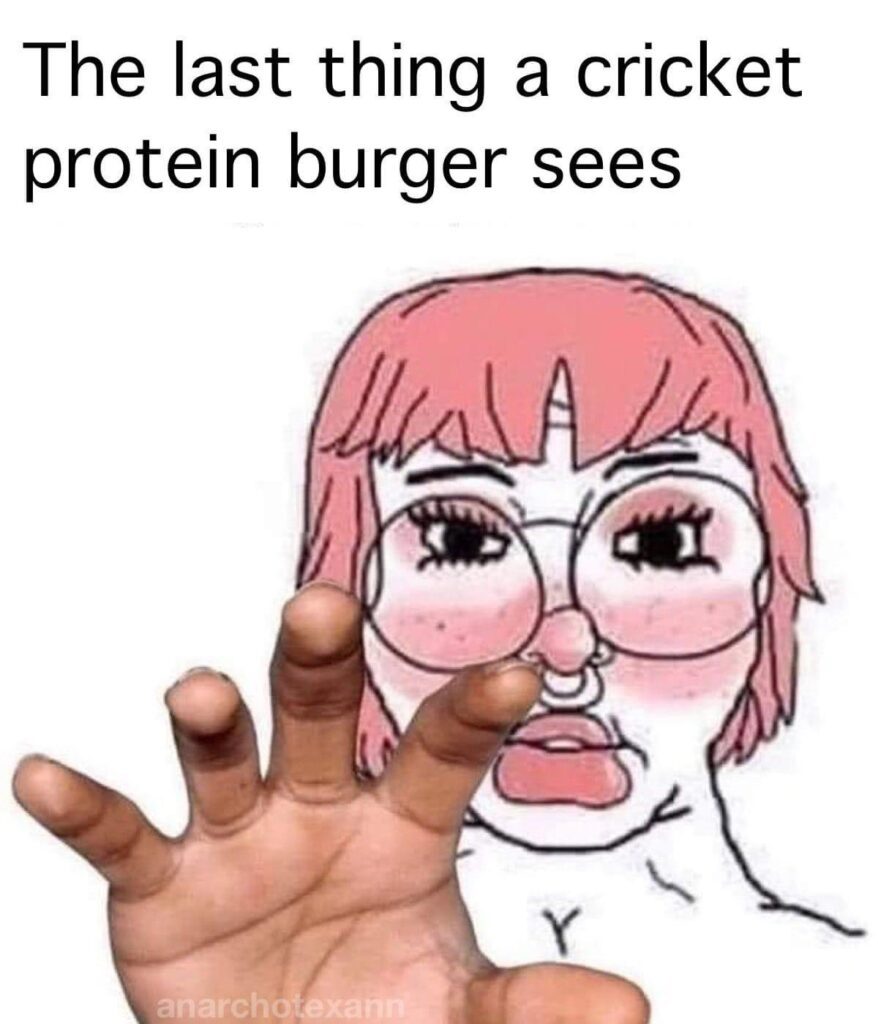 cricket protein burger meme