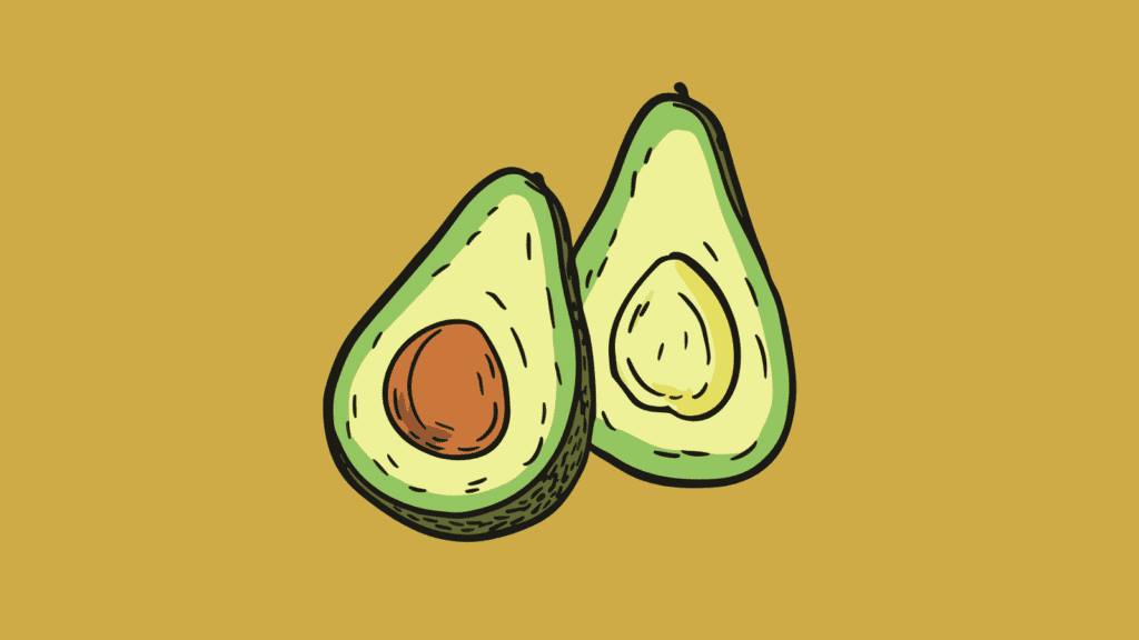 cartoon avocado