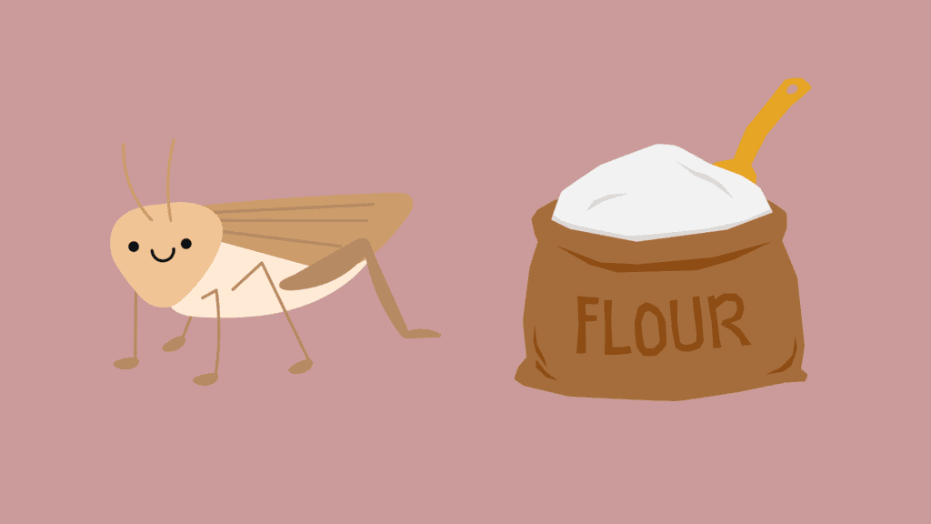 cricket and flour