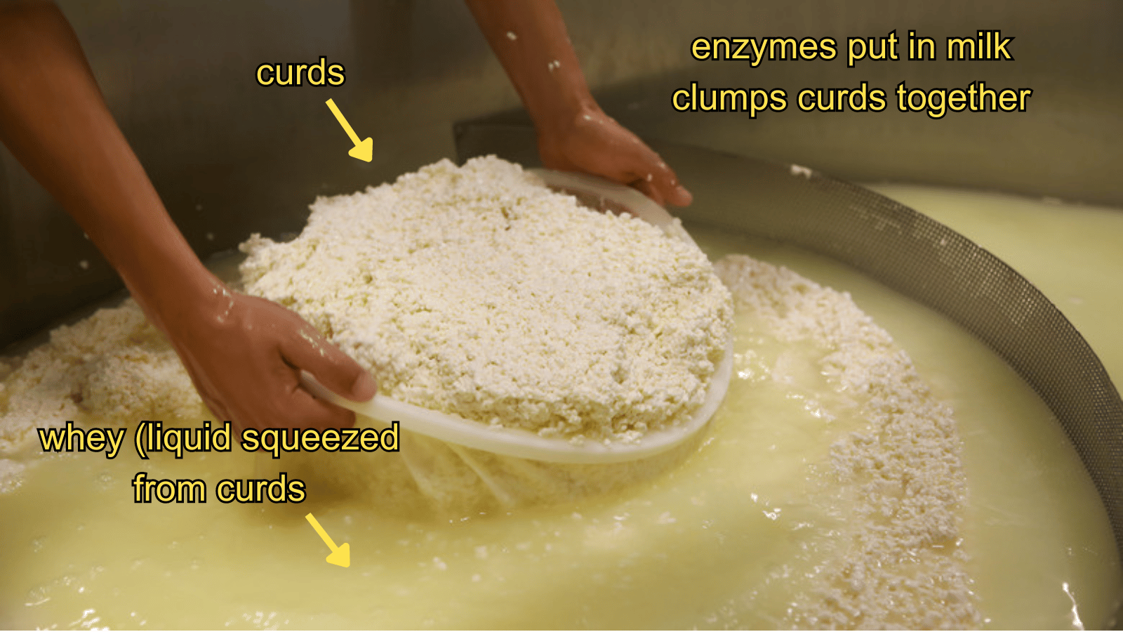 curds and whey being seperated explanation