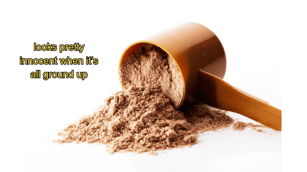 cricket protein powder