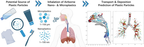 Transport and deposition of microplastics and nanoplastics in the human respiratory tract