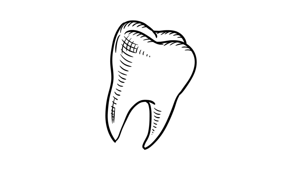 cartoon tooth