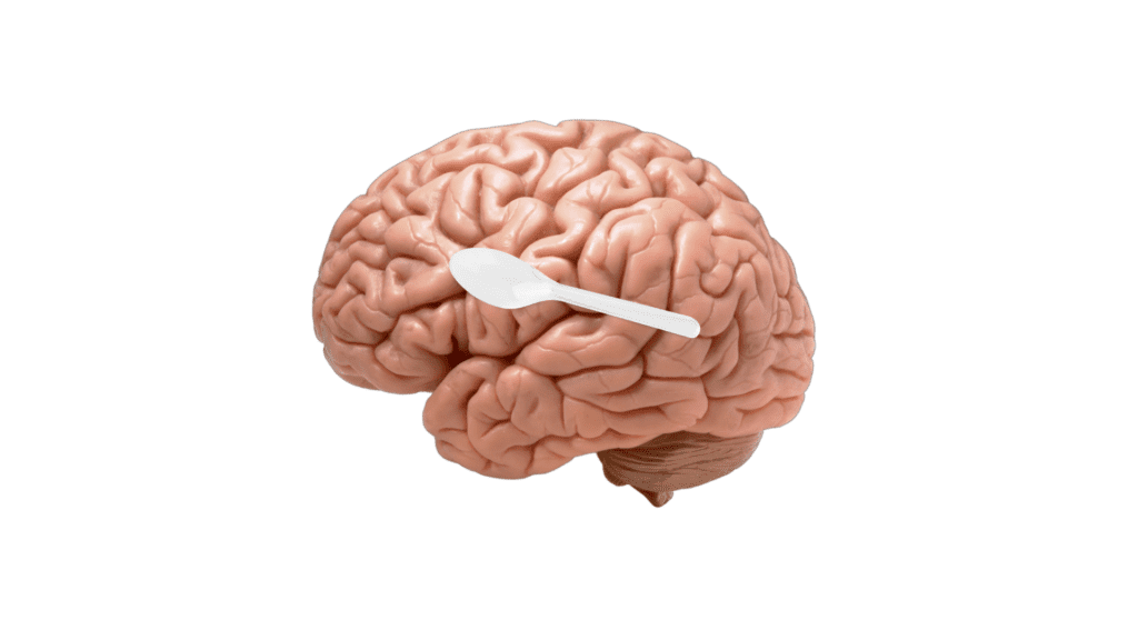 brain with plastic spoon in it