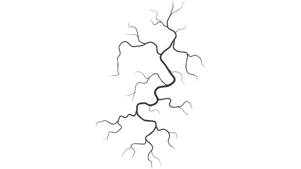 drawing of a vein