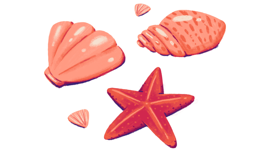 seashells