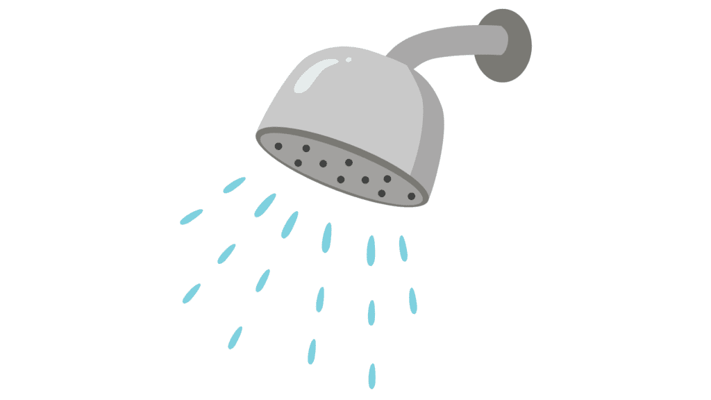 shower head