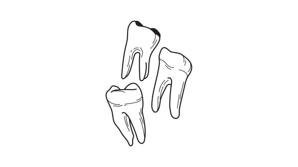 teeth