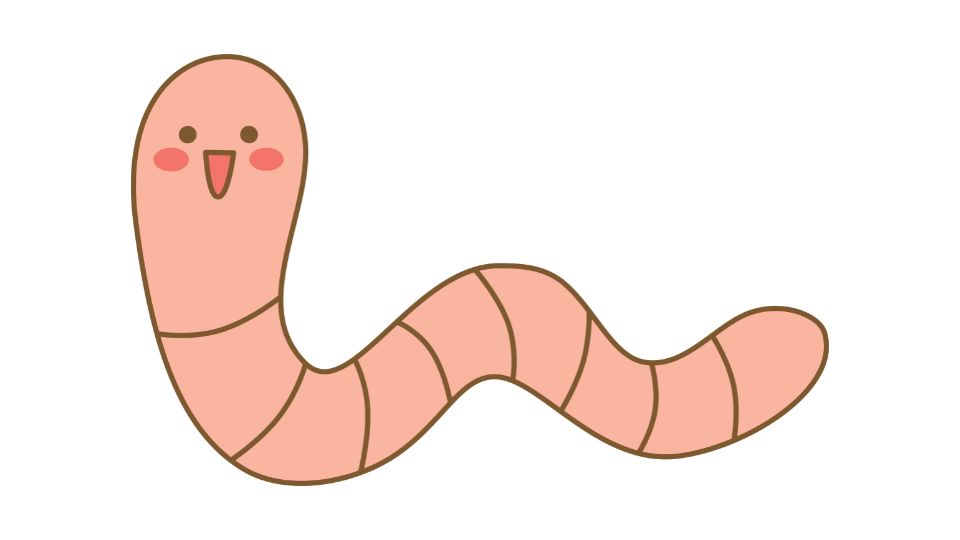 bug food