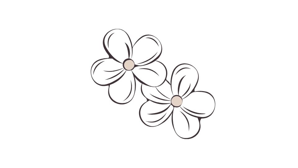 flowers illustration