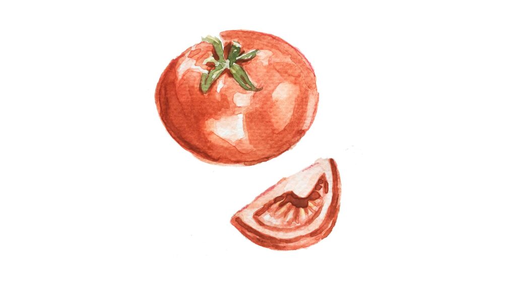 fruit illustration