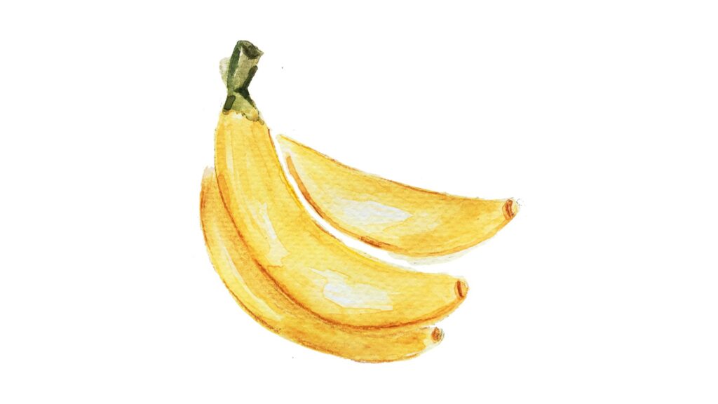 fruit illustration