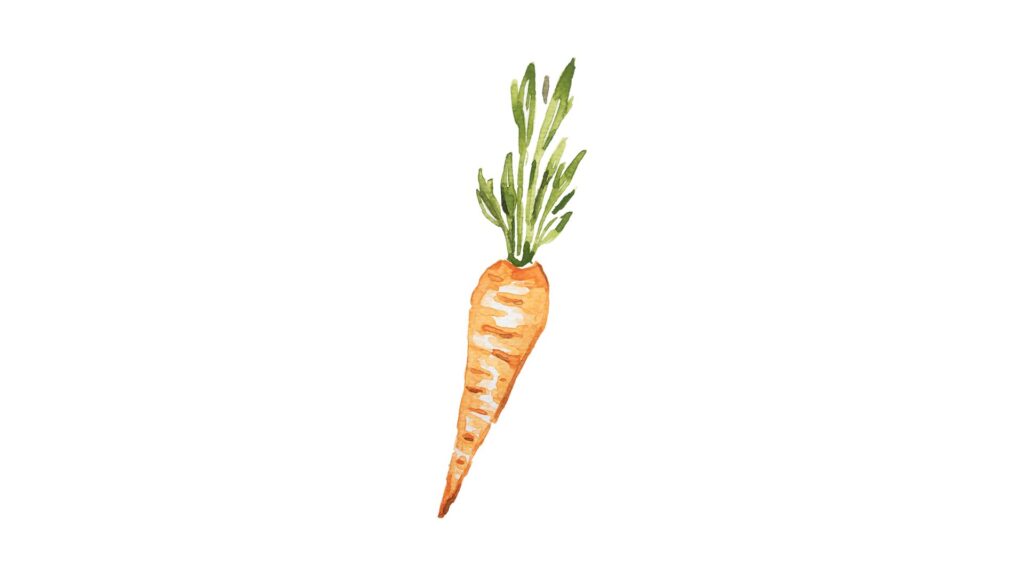 fruit illustration