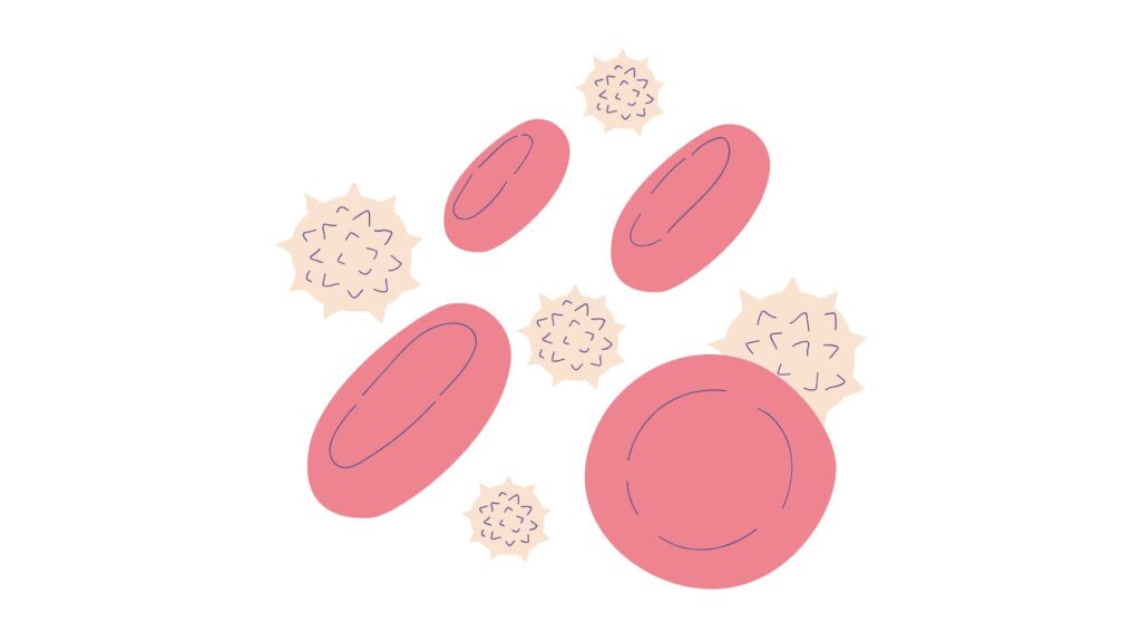 skin illustration