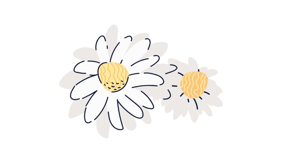 spa illustration