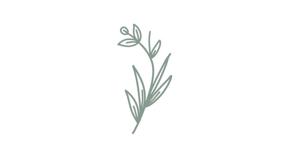 spa illustration