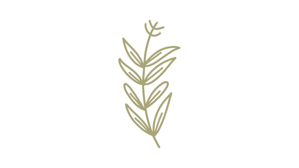 spa illustration