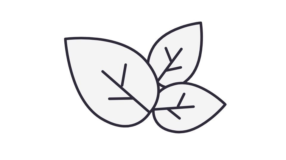 the simple outline therapy