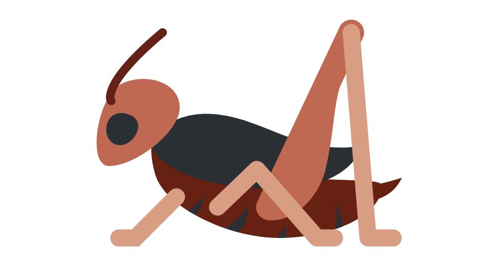 cricket flour