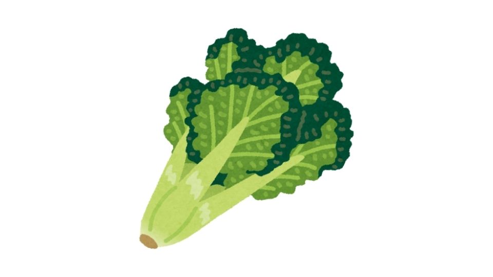 illustration food healthy