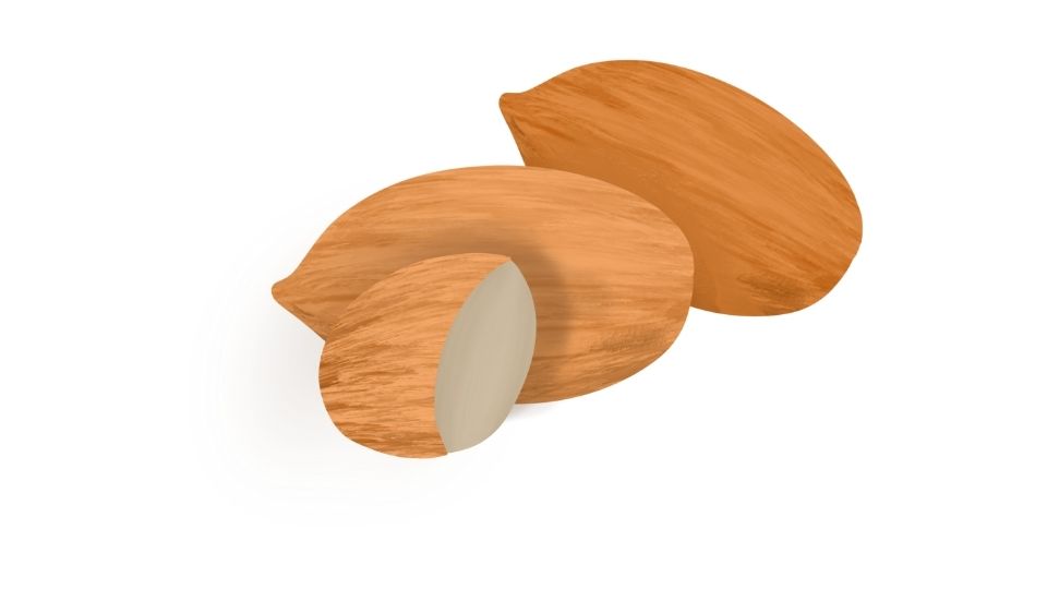 illustration food healthy