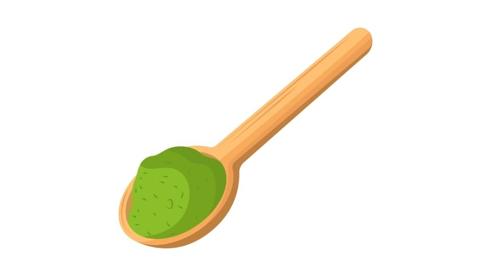 powder protein
