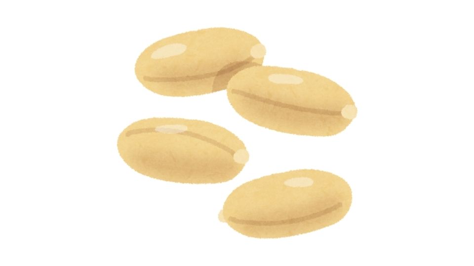 soy illustration