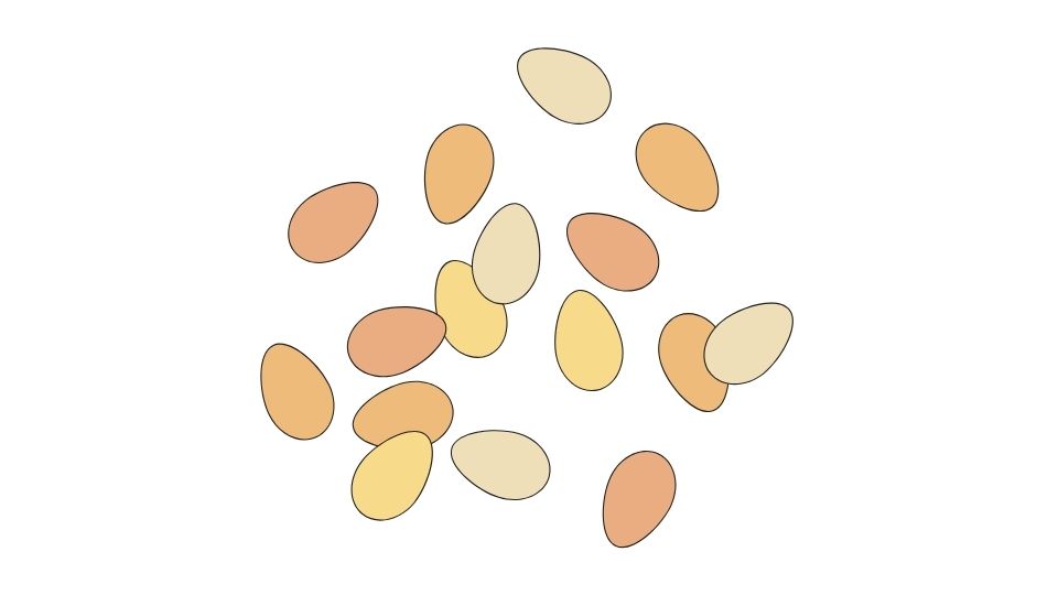 soy illustration