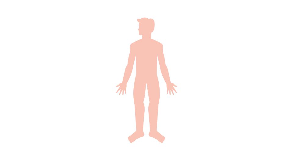 body skin