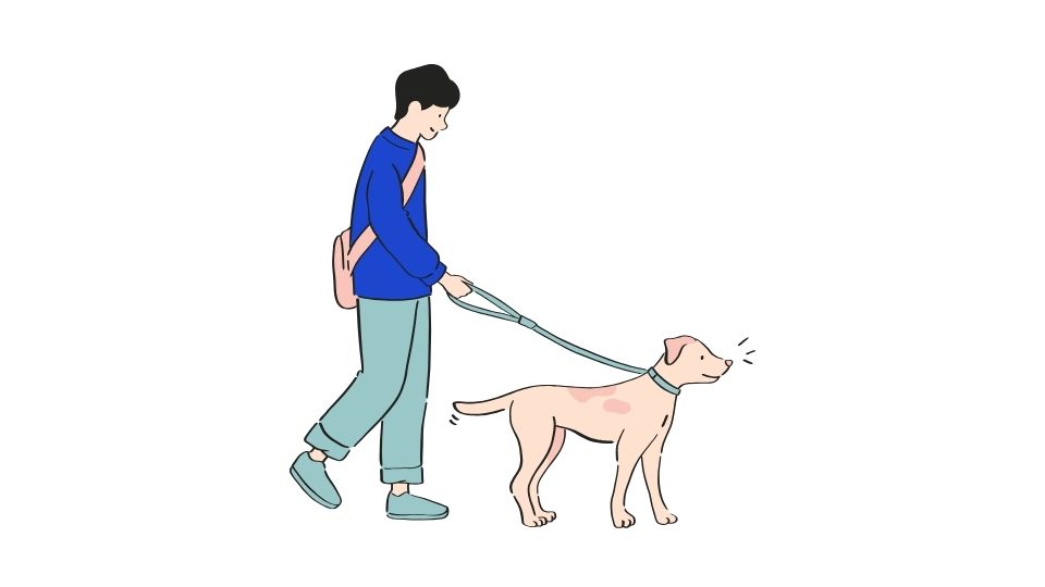 pets